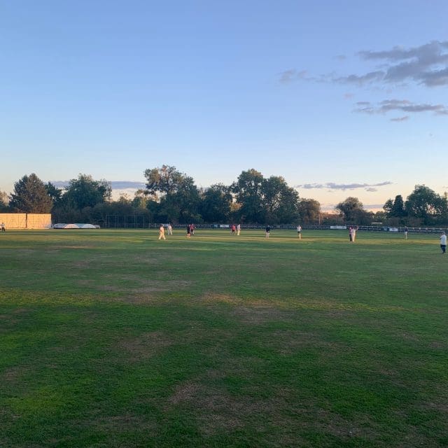 ECL's Annual Cricket Match